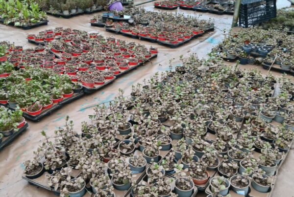 Das Bild zeigt die Schäden nach einer Überschwemmung.