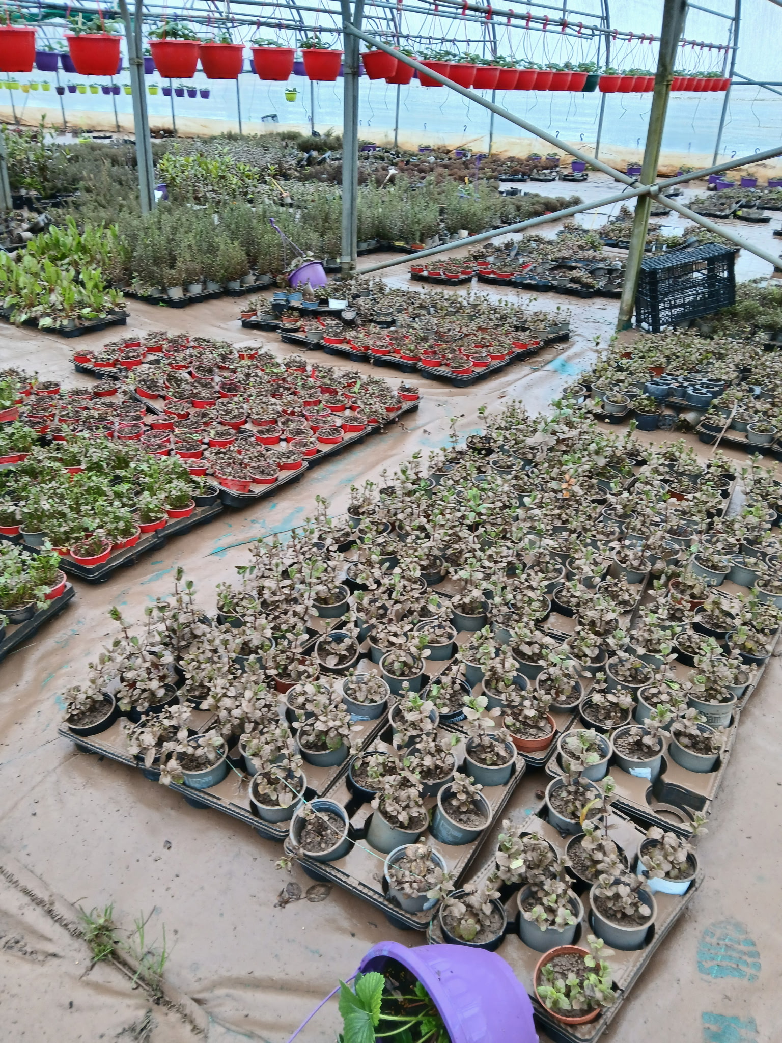 Das Bild zeigt die Schäden nach einer Überschwemmung.