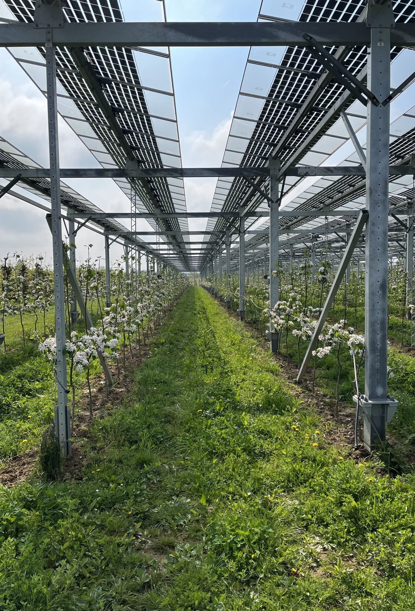 Photovoltaik-Anlagen