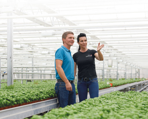 10 Minuten für den Gartenbau