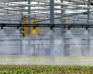 So bleibt Ihre Warnanlage zuverlässig