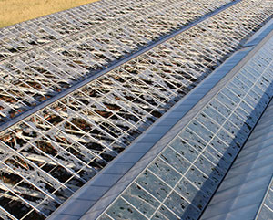 </br>HAGEL: Jetzt vorsorgen!