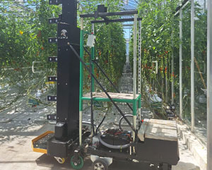 Robotik und KI im Gartenbau nutzen