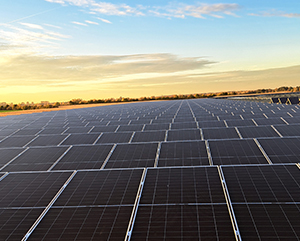 Jetzt online: Fachvortrag PV- und Agri-PV