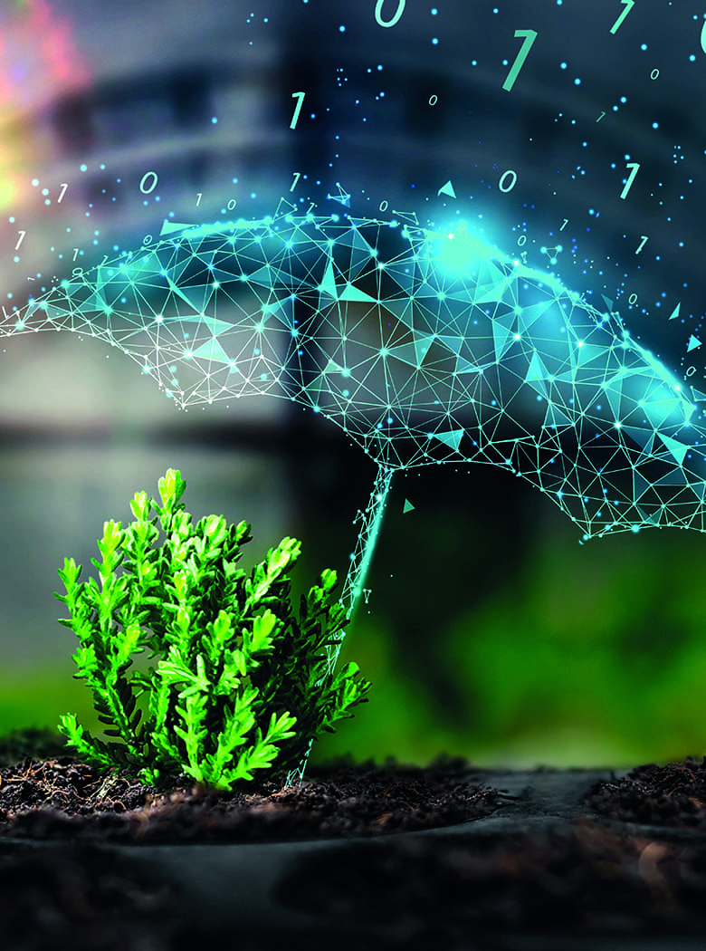 Cyberschutz Gewächshaus