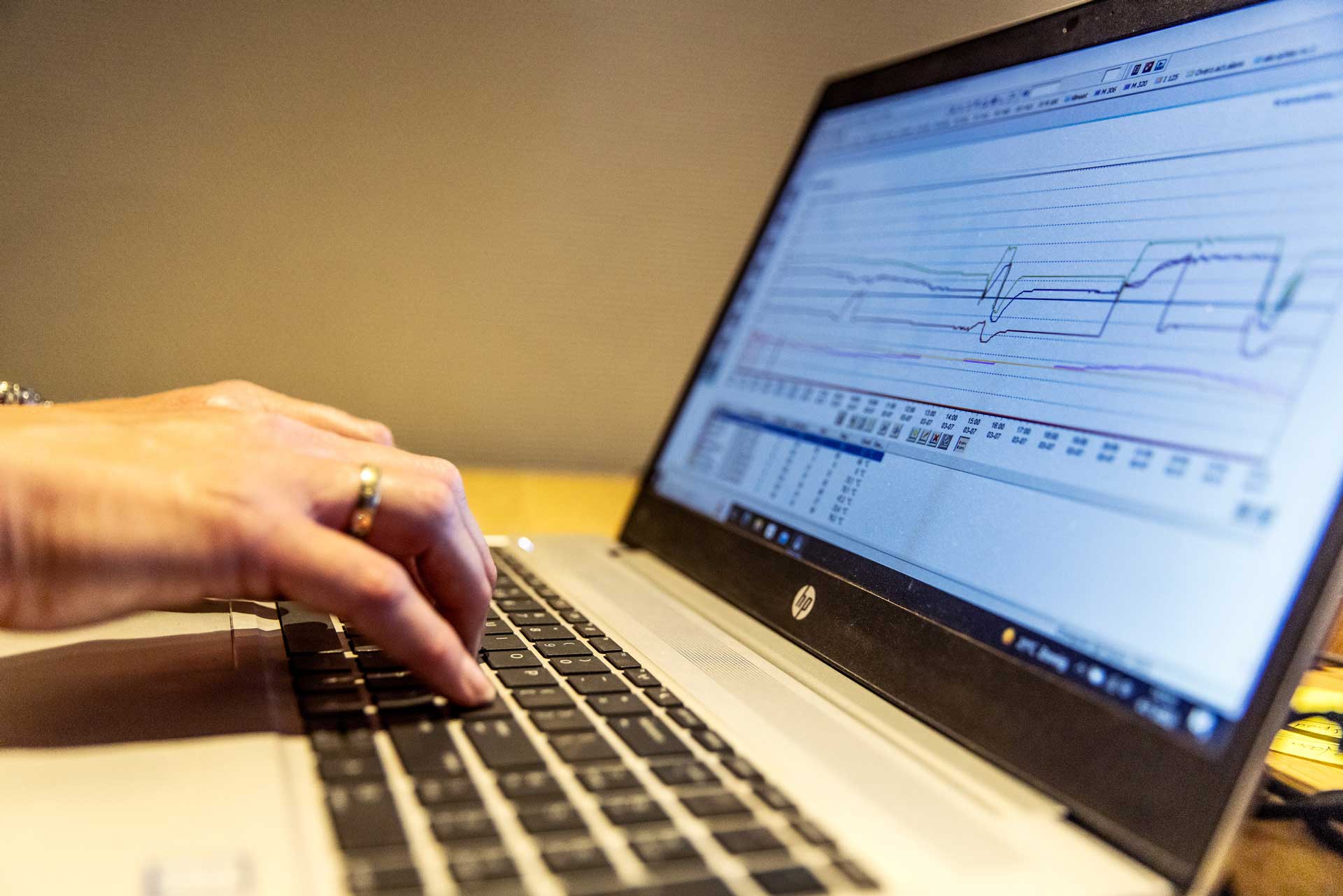 Cyberschutz im Gartenbau: Cyberrisiken erkennen & Schäden vermeiden